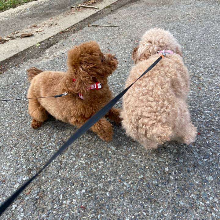 9262d637 151f 4c65 aa8b 7a63d3467fd3 1678618498839