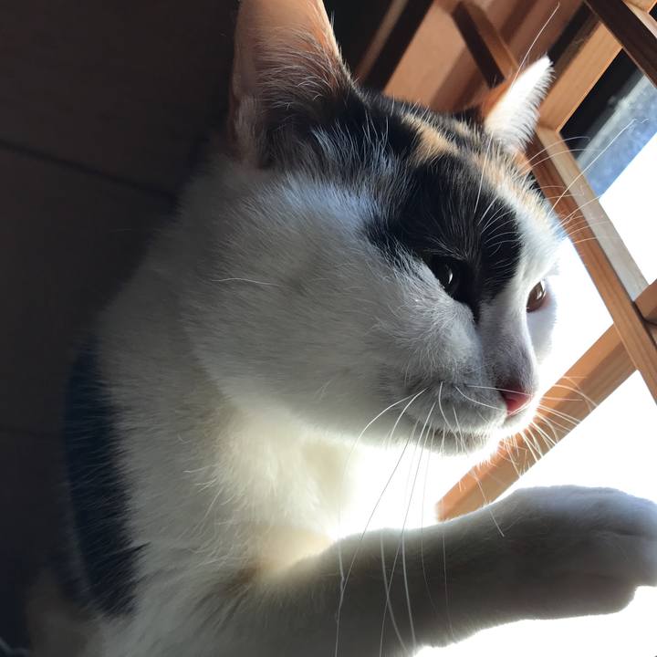 9262f074 0f16 4fff 87ab 8e6ba5d440ff 1516322946561