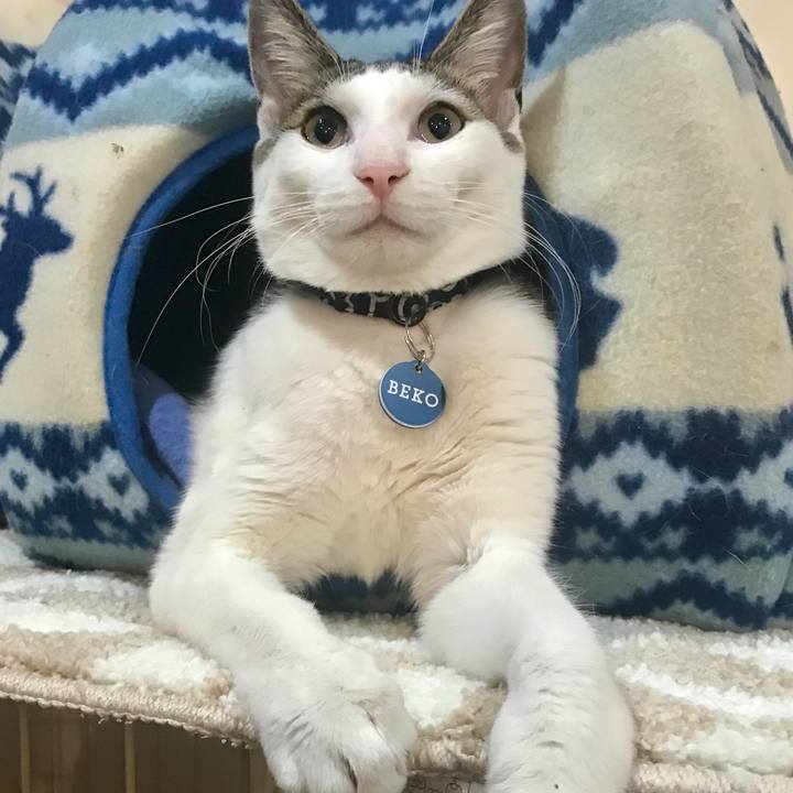 9262f6df 3ca9 4150 ba50 f94176671aaa 1521367042236