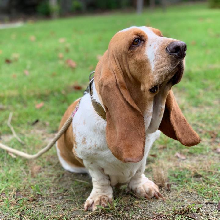 92630c4e 1d9d 46ae ad4b 0014b055d62c 1539252163898