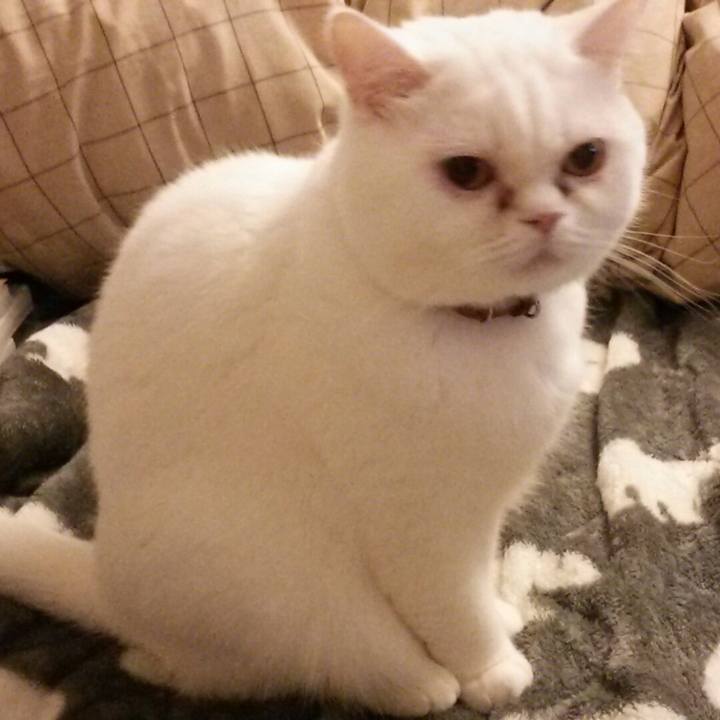 926321fd 3d33 4a53 af6b 40c91767974e 1515539653693