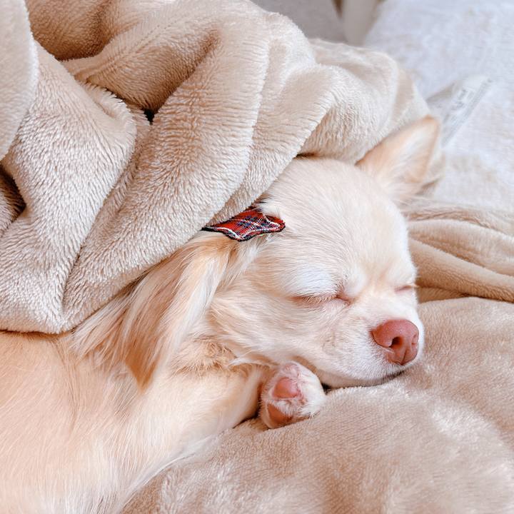 92633005 6200 4681 9a77 d2f180510af4 1658288768030