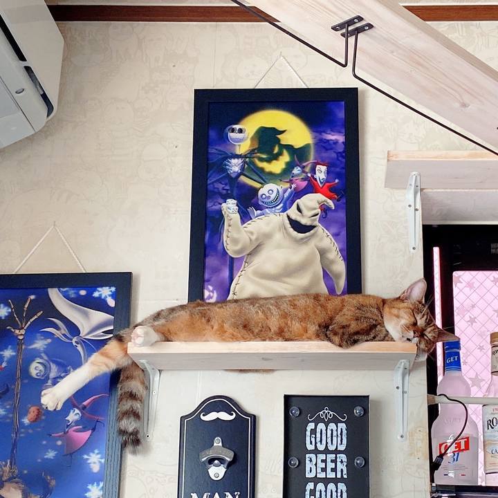 926333ac 71b4 49e4 a671 8cfa6fb680ef 1595812434629