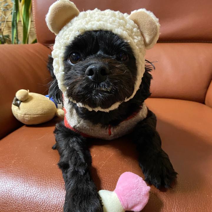 9263412f aa5b 4db9 8c79 82a3e75e1fe4 1576586372124