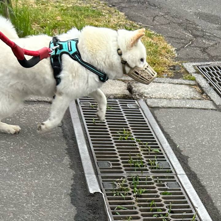 92637517 a400 4120 b0fe 2b72a549112c 1685311407243