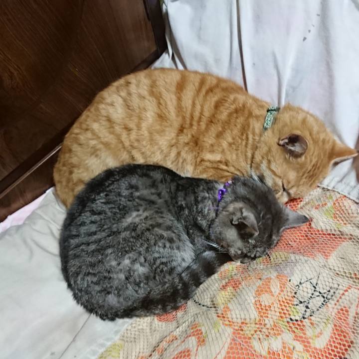 92637618 94f8 46b1 b0e5 b3b609fc3b7f 1584019645366