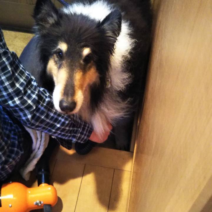 92637675 af10 4172 8091 a1ba7248c5da 1613303217431