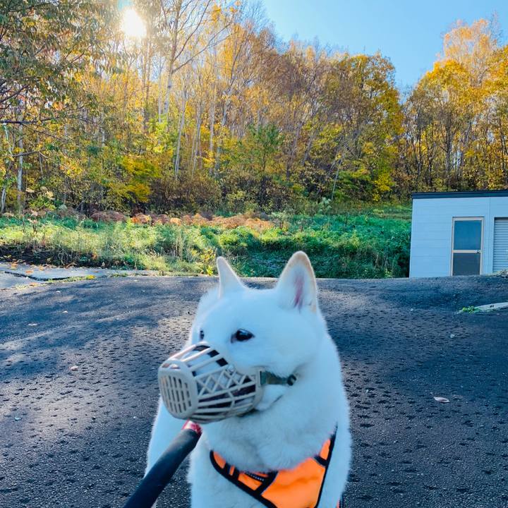 9263921f 9693 4da2 a13e 3cecfa2b397b 1666745024894