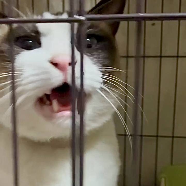 92639927 ac06 49a9 a33b 818c63c98859 1766396711990