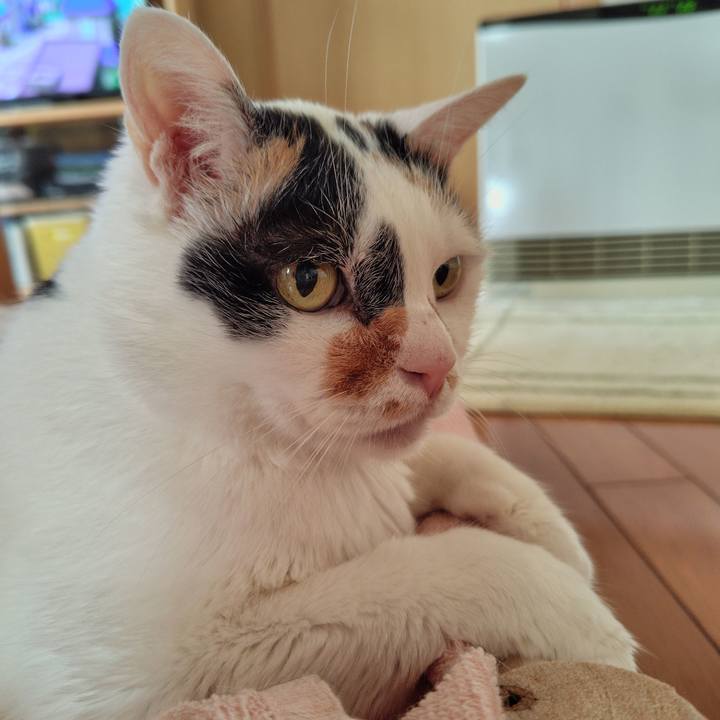 9263a14b 385d 449d bf86 eb03197a2e1e 1734823498157