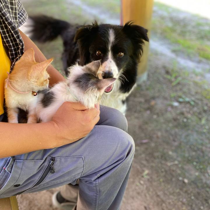 92641b09 5a32 4613 adab a78808f3e2f8 1630918120798