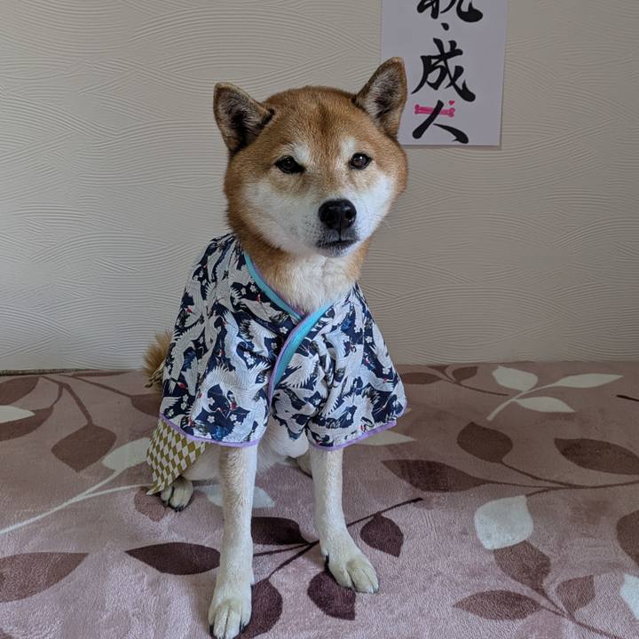 92643a46 27d7 469e 92b0 23131ca6a622 1736749241880