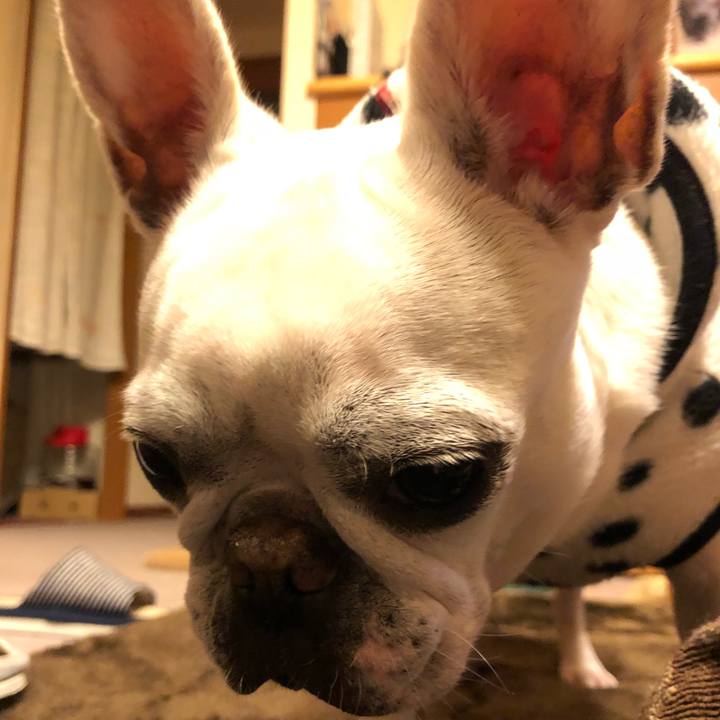 92648eb9 0604 4920 ab2c 70e841e8c93c 1607252289296