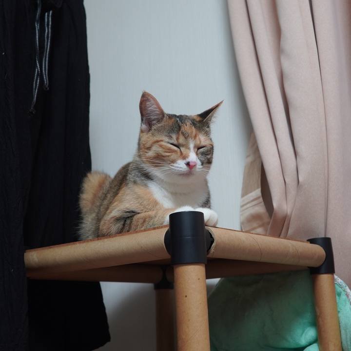 9264a51e dd44 4671 ad26 f68d87cb7cc4 1601821866512