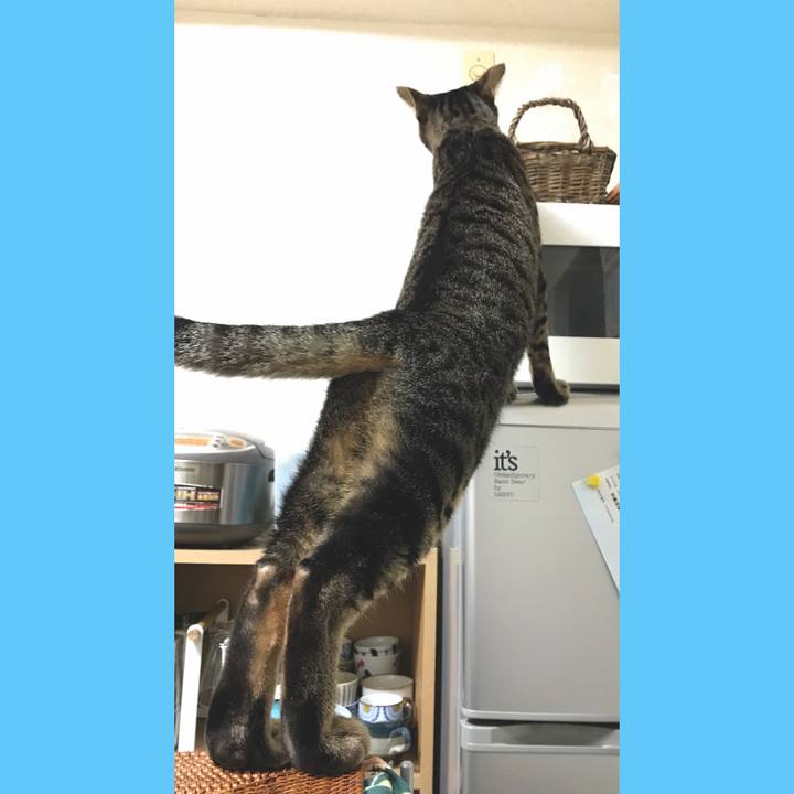 9264b774 3e64 417f 85d9 152c07e17a48 1508161737883