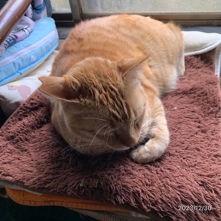 926507e1 277f 4bc2 9e0d e077e3228419 1703907024931