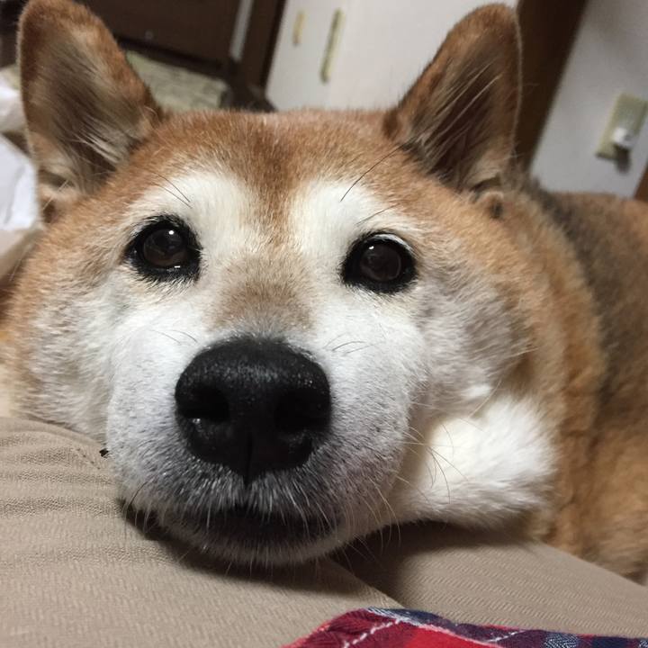 92653e6d 69bc 432d b3f0 ef1a65c9533c 1531307963064