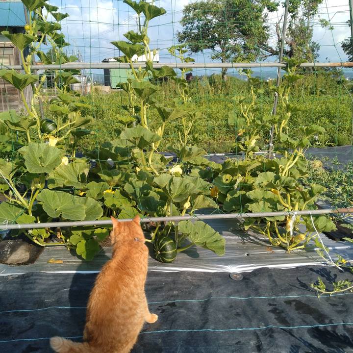 92654d9d 986b 4ecc 98ff 94a588c643e9 1689029709132