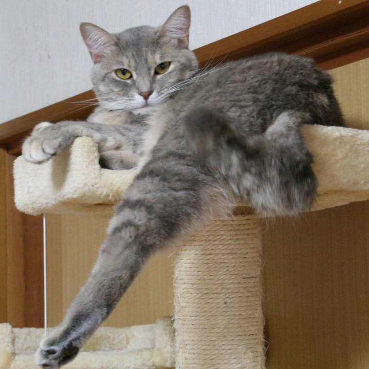 92655dc7 a6b9 4d8e 9b87 9ac28ed13582 1510483369198