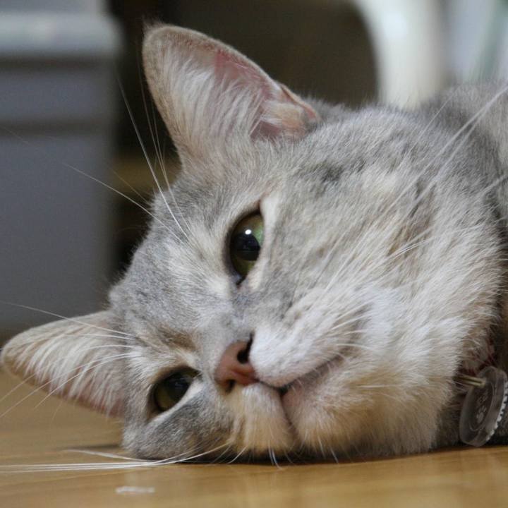 9265b39b d3d1 4060 b6c7 16d1fb97b267 1538830092441