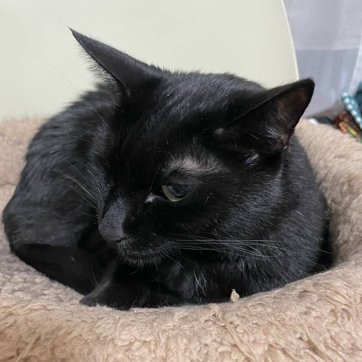 92660195 b03e 4a89 9340 3685d048b95c 1730897294486