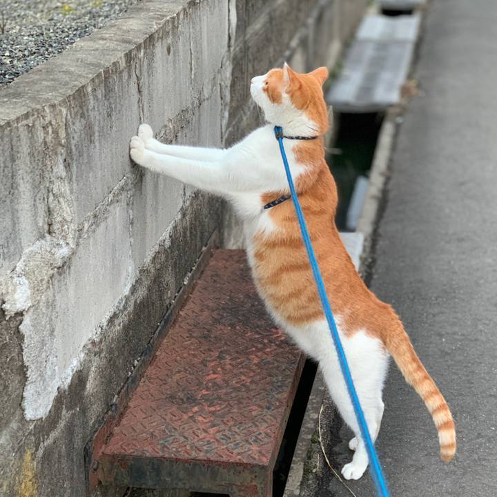 9266321d 142d 40eb 9f57 2f6f684a4808 1579852792371