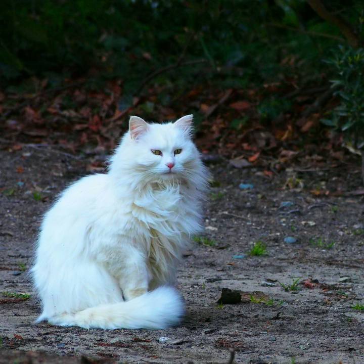 9266ab62 f858 4a39 9d4e 616dd6a4ba07 1521361359293