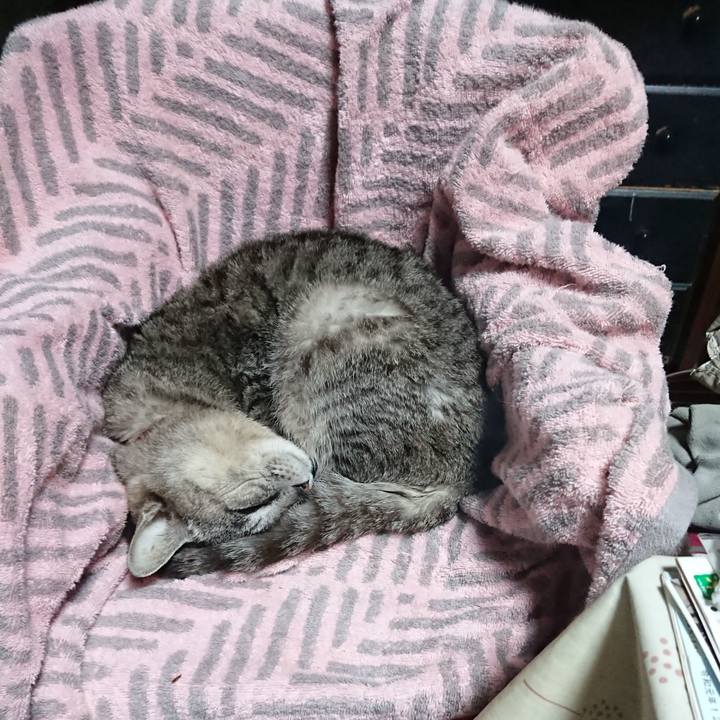 9266abe3 a3e5 435a 9e93 57129ade5c68 1590529374495