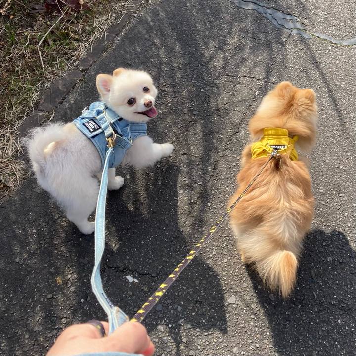 9266c7f1 8f32 47ee 824f 0c65adbf295b 1646028915729