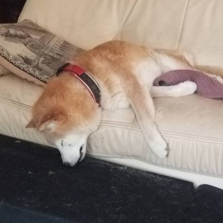 9266fc23 7229 42ad 8d3f 185e54323133 1750897033796