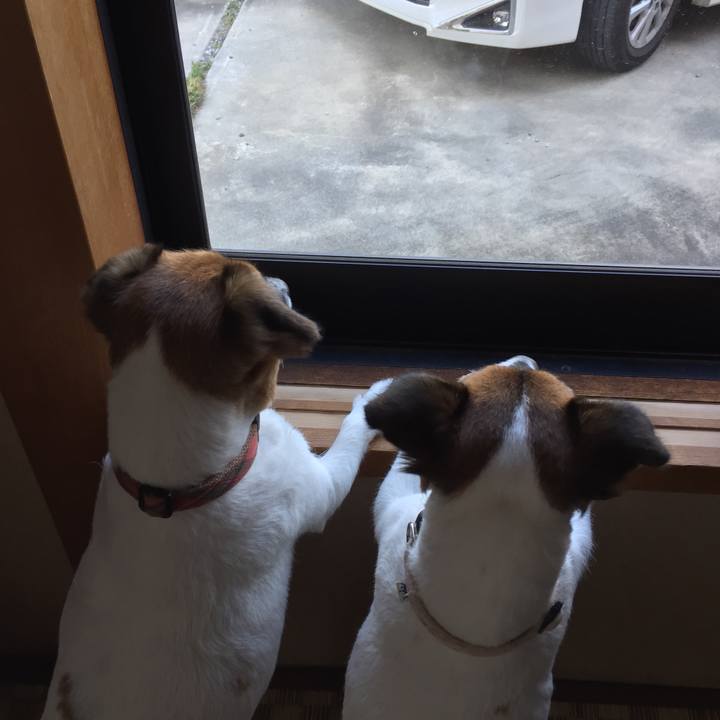 9267061f 6911 401a 858a c781c2fd9098 1565253566081