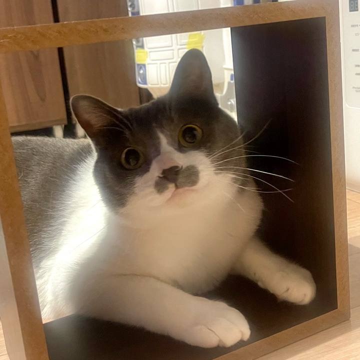 92671eae a875 4ec1 bb84 e8c84c1702d6 1653746321646