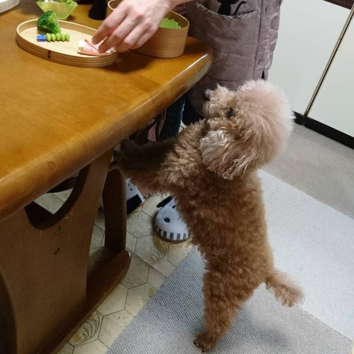 92672845 6ce4 4649 832a 061acb25b002 1557477223595