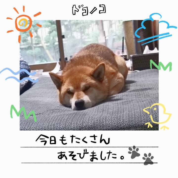 92672e6c a12d 42df a27d 92e4216099d5 1755143585827