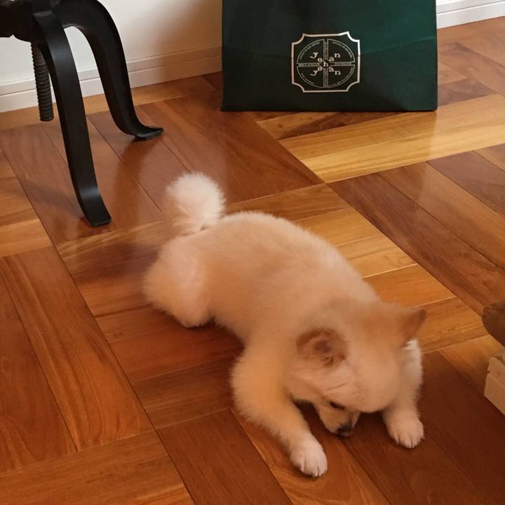 92674c8b 703f 43b4 a22b d41c2c981772 1542539243238