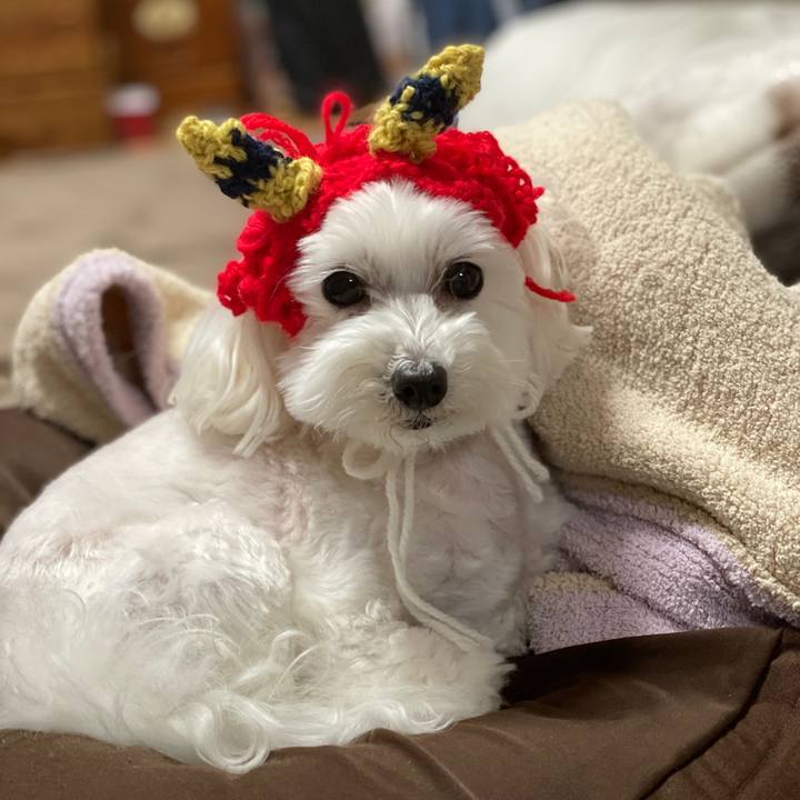 92675036 6719 473c 8e31 40b48f63ca39 1580734445872