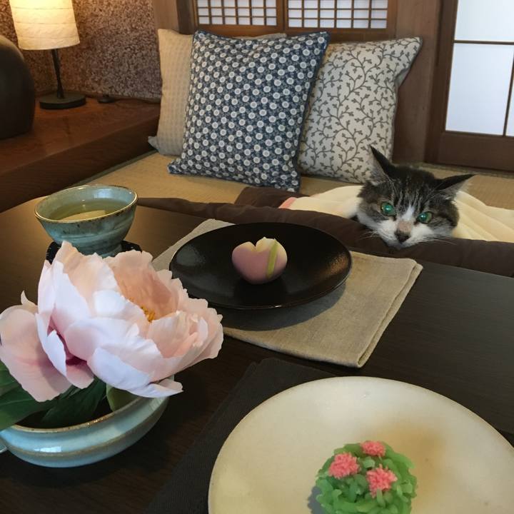 92677262 2bb0 45cf bbfa 927f0d6ca015 1525586412767