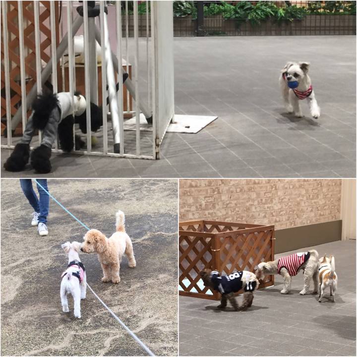 92679d10 1b68 4009 b99d 56f7fcc3ccc3 1544266812665