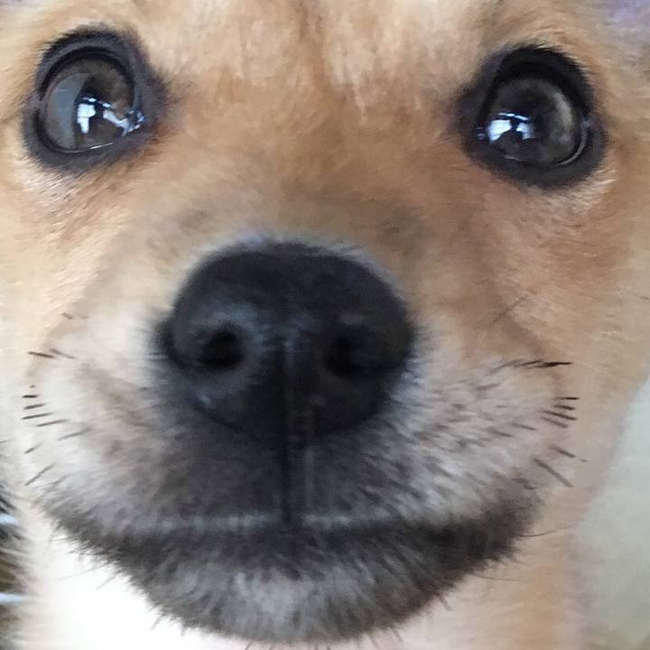 92679f7a a052 4a40 8bd8 04e0eaeae7de 1523370064631