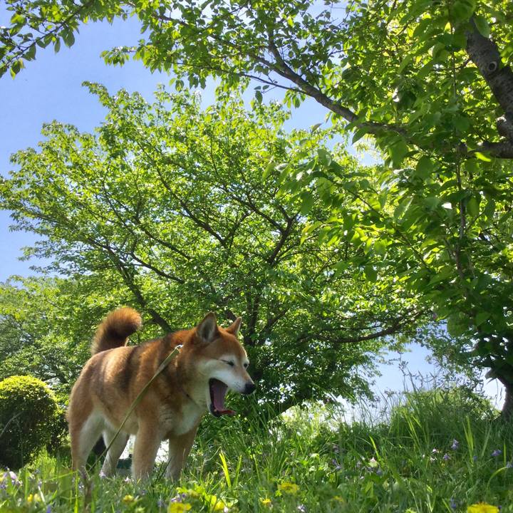 9267cff7 ed4b 4487 88b9 73a6971c43f0 1618900193474