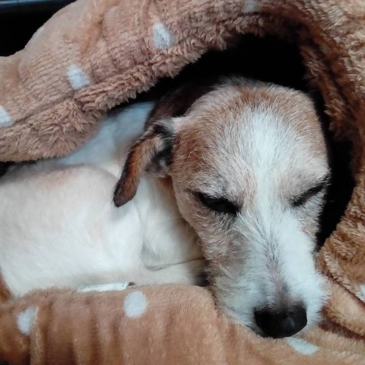 9267d96e c1fa 458e a025 2d5b8f551e65 1573472215922