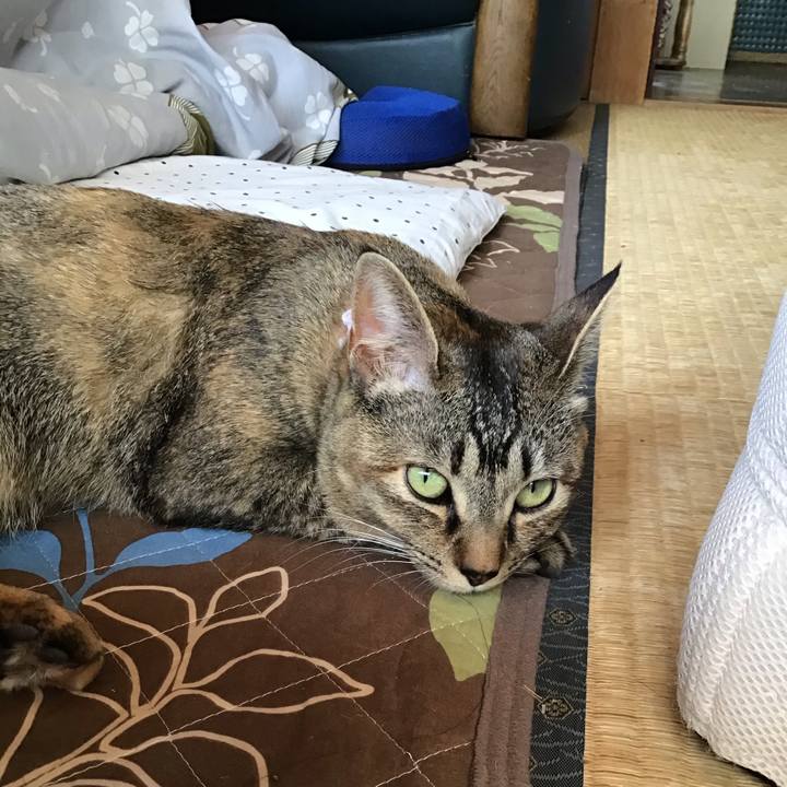 9267dfa2 8100 4842 8036 c10642b9bc04 1587257090542