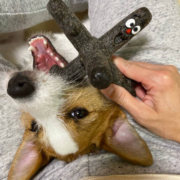 9268052a eab0 4d02 9354 773240e3f553 1627821417558