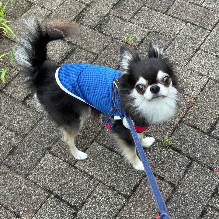 926808f1 602f 4990 8907 94590146ced7 1722525291870