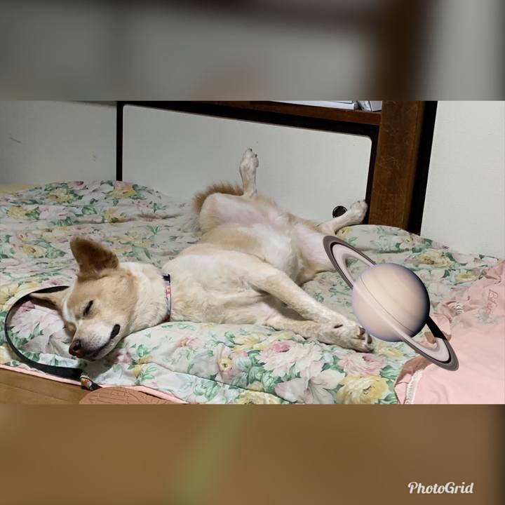 92680e47 3ada 48f0 b27e 3e53466f1fa8 1562511400393