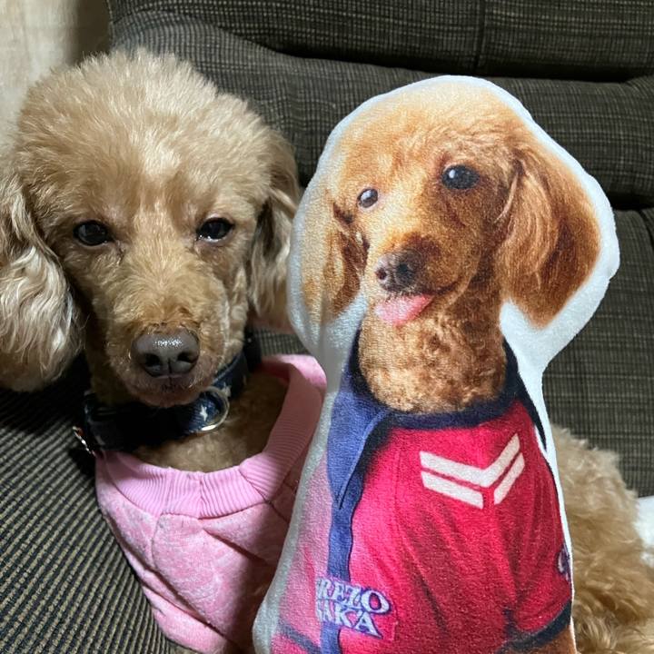 92683472 9062 4602 abc8 cd31302e3771 1703062695787