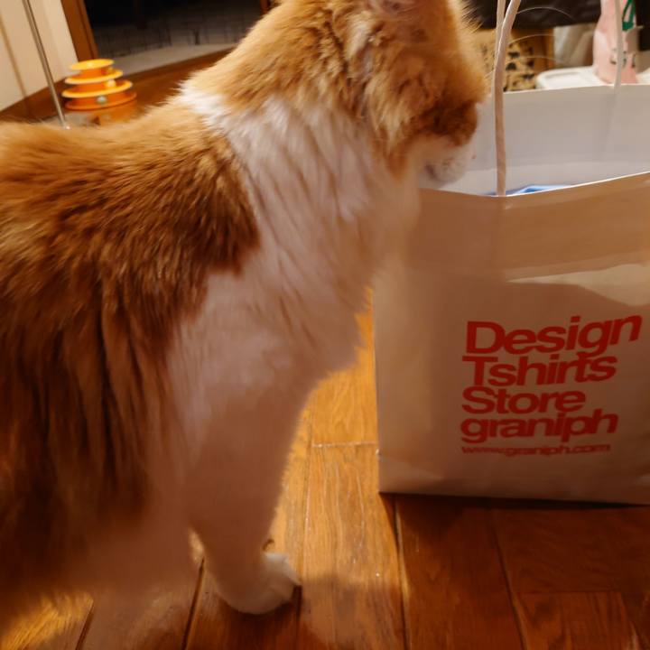 926857df 0504 4334 a949 67f1cf1646e8 1617200414549