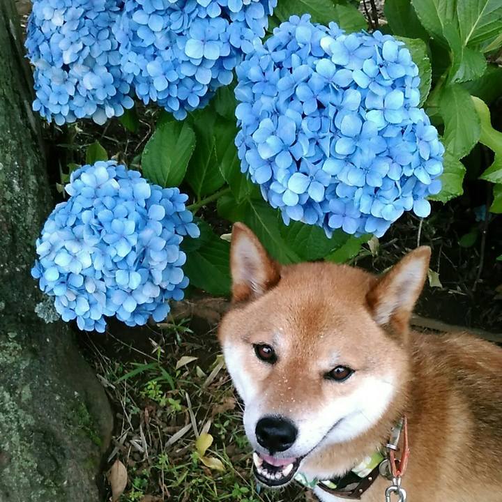 926859a5 804e 4db3 b6d4 6f5916be9fc4 1562027141878