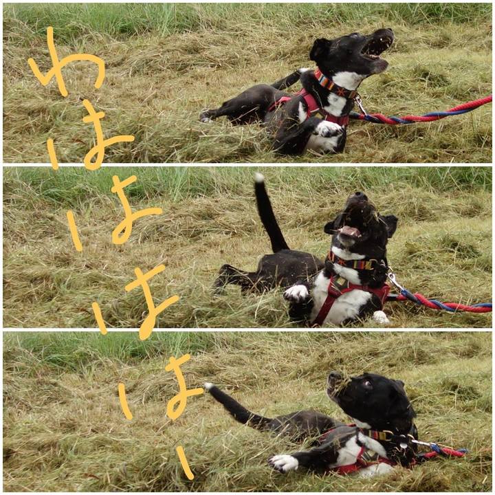 92685cbb 9443 4065 a0e8 799097f5c3e5 1600646681560