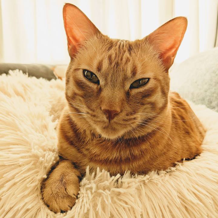 926863aa 3cbc 40fb a65b ba4c08da495f 1642832166591